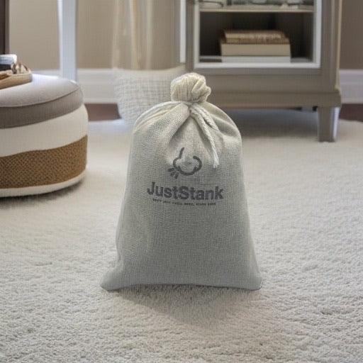 Embrace Freshness: Why You Still Need an Air Freshener in 2023 - JustStank