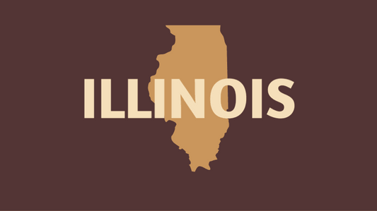 Embracing Freshness: Illinois' Push to Decriminalize Rear View Mirror Air Fresheners - JustStank