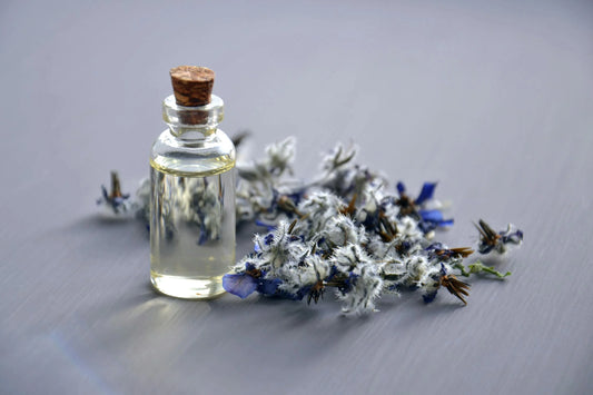 The Essential Guide to Choosing the Right Air Freshener for Different Spaces