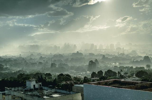The Importance of Air Quality: Breathe Fresh with JustStank - JustStank