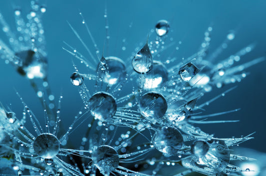 Scenting Masculinity: The Science Behind Effective Air Fresheners
