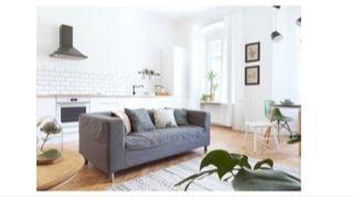 The Importance of a Good Smelling Home: Creating a Welcoming Atmosphere with JustStank - JustStank